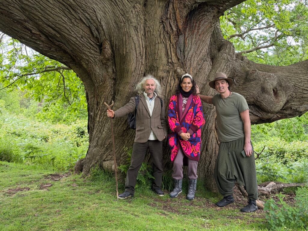 Forest of Dean nature-based retreat Britain
